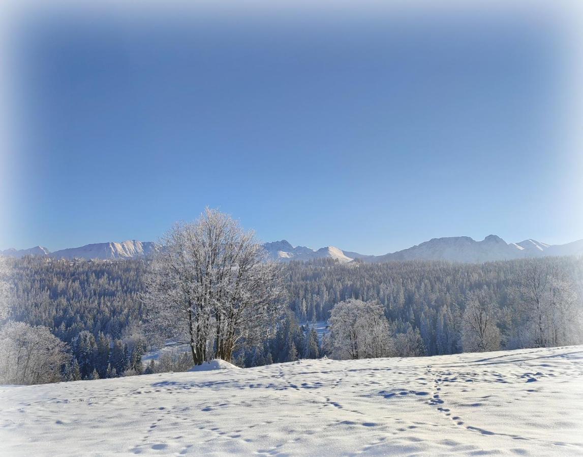 Willa Juna Tatry Nowe Bystre Luaran gambar